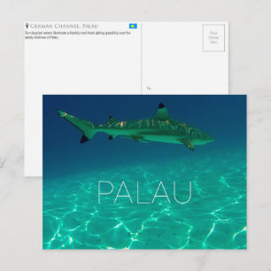 Récif requin, carte postale de voyage des Palaos