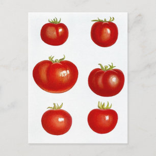 Recipe Card Postcard Design To Share Fav Recipes