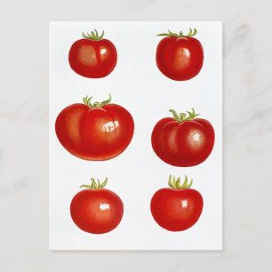 Recipe Card Postcard Design To Share Fav Recipes