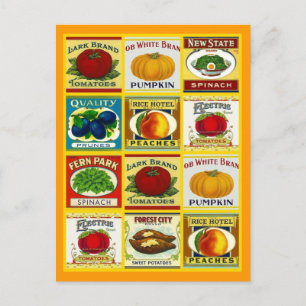 Recipe Card Postcard Design To Share Fav Recipes