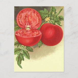 Recipe Card Postcard Design To Share Fav Recipes