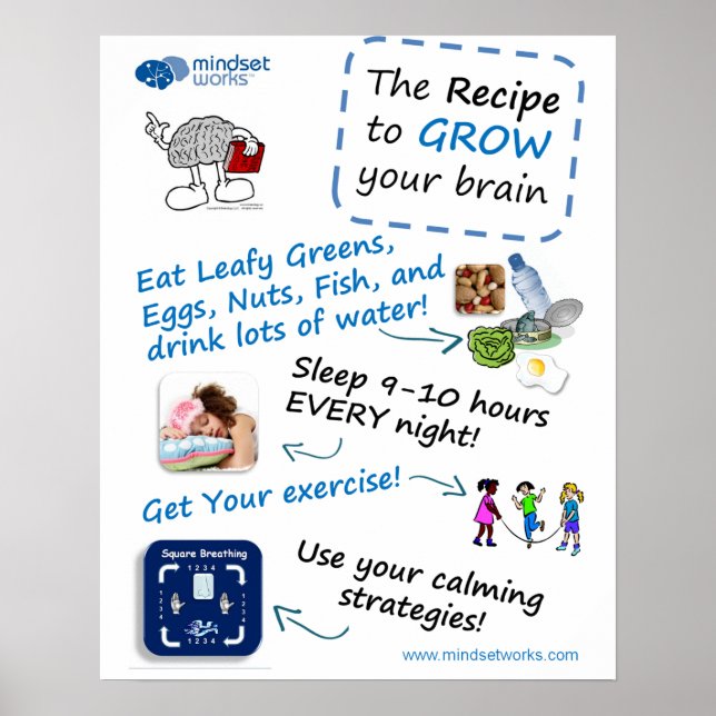 Recipe to Grow Your Brain poster for Brainology® (Front)