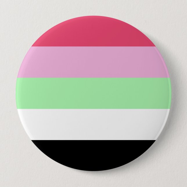 Recipromantic Pride Flag 4 Inch Round Button (Front)