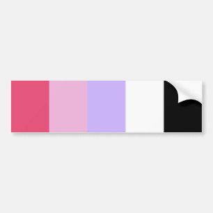 Reciprosexual Pride Bumper Sticker