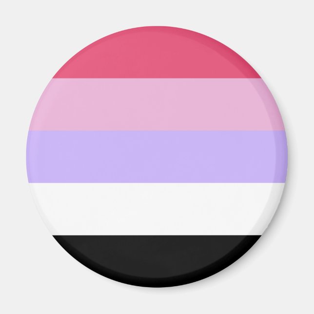 Reciprosexual Pride Flag Magnet (Front)