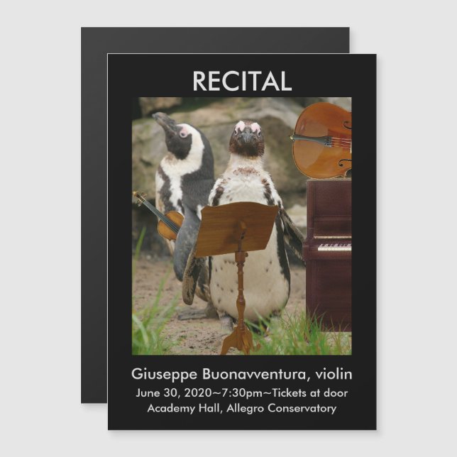 Recital Announcement, Penguins, Strings, Piano Magnetic Invitation (Front/Back)