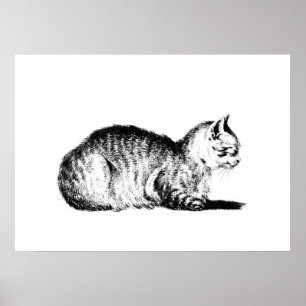 Reclining cat, to the left, Jean Bernard, 1812 Poster