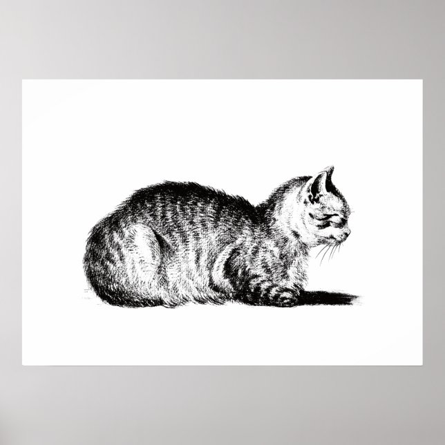 Reclining cat, to the left, Jean Bernard, 1812 Poster (Front)