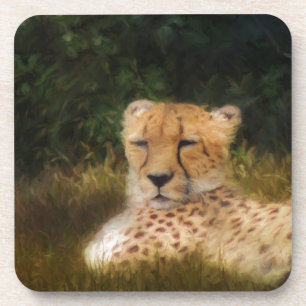 Reclining Cheetah at Fossil Rim Wildlife Centre Coaster