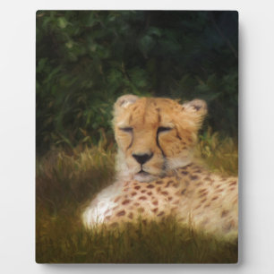 Reclining Cheetah at Fossil Rim Wildlife Centre Plaque