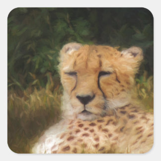 Reclining Cheetah at Fossil Rim Wildlife Centre Square Sticker