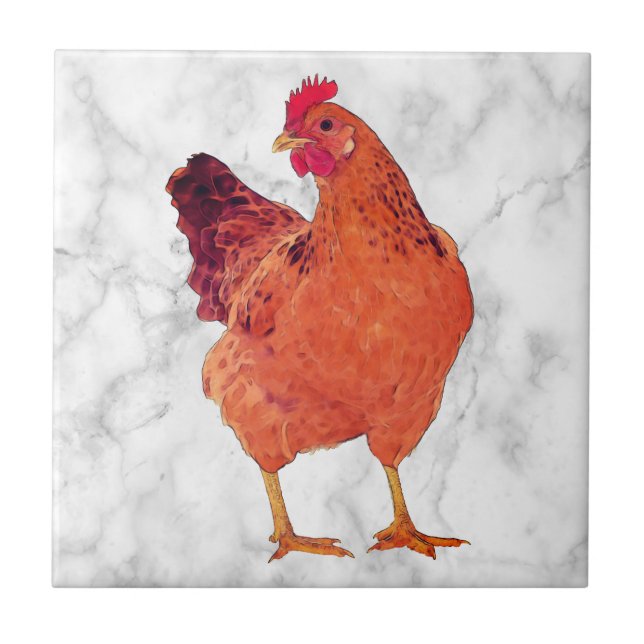 Recoleta Chicken R - Petite Carreaux en céramique (Devant)