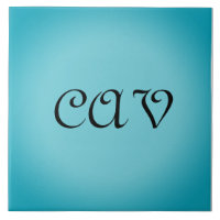 Recoleta Cornflower Blue 