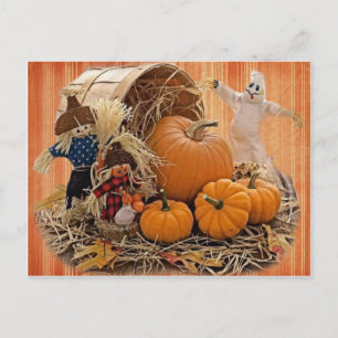 Récolte des flèches et des cartes postales fantôme