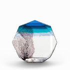 Elégante plage Ocean Coastal Shells