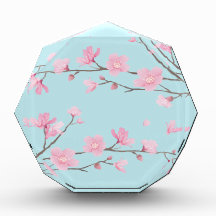 Fleur de cerisier - bleu ciel