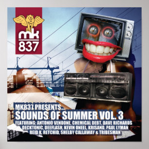Record Sleeve Proof: Sounds of Summer 3 Poster