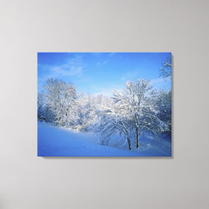 Record snow in Louisville, Kentucky. Canvas Print