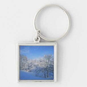 Record snow in Louisville, Kentucky. Keychain