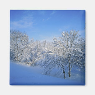 Record snow in Louisville, Kentucky. Magnet