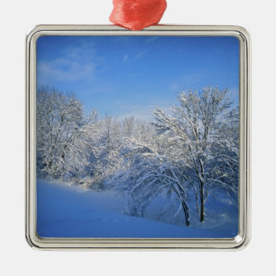 Record snow in Louisville, Kentucky. Metal Ornament