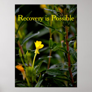 Recovery Motivational Poster