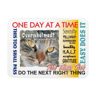 recovery slogans magnet