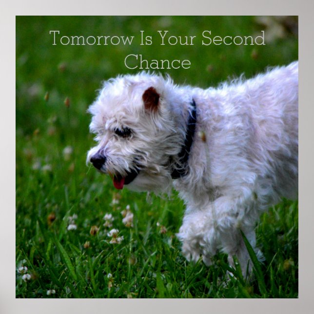 Recovery  Tomorrow Poster (Front)