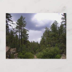 Recreational Activities: Prospecting Postcard