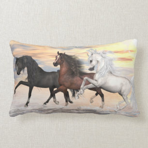 Rectangle 3 Arabes 2 ont dégrossi le coussin lombaire 13"