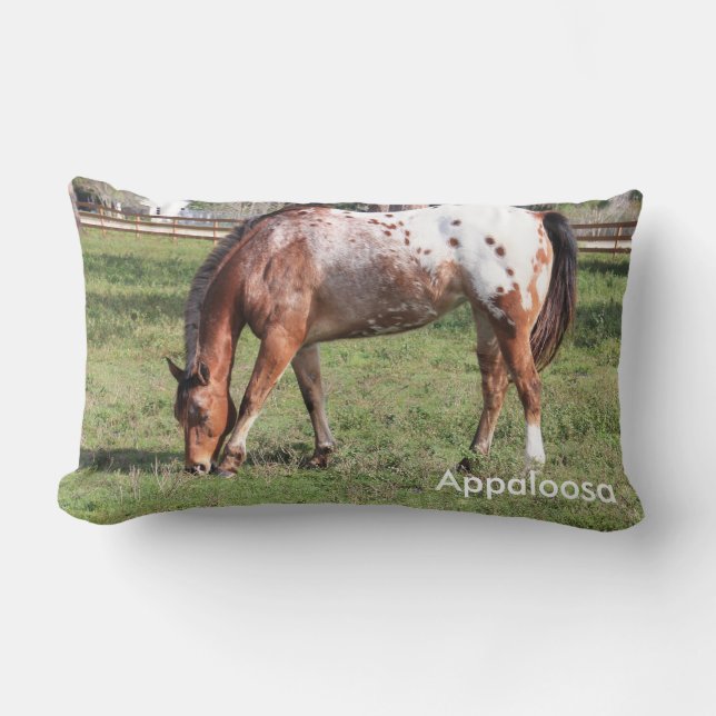 Rectangle Appaloosa Horse Coussin (Recto)