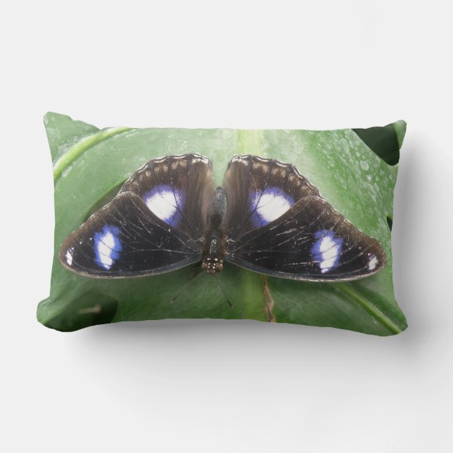 Rectangle Beau Coussin à papillon bleu tacheté (Recto)