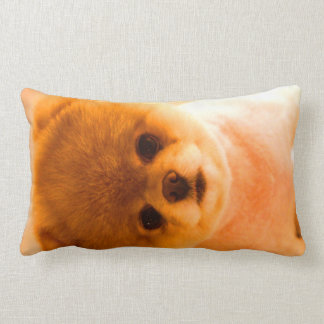Rectangle Cadeau lombaire de coussin de photo
