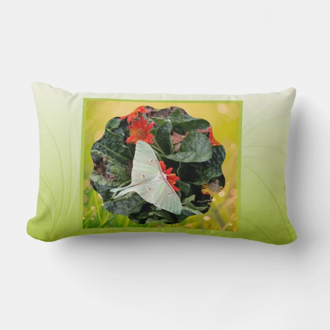 Rectangle Captivant Luna Moth Coussin (Recto)