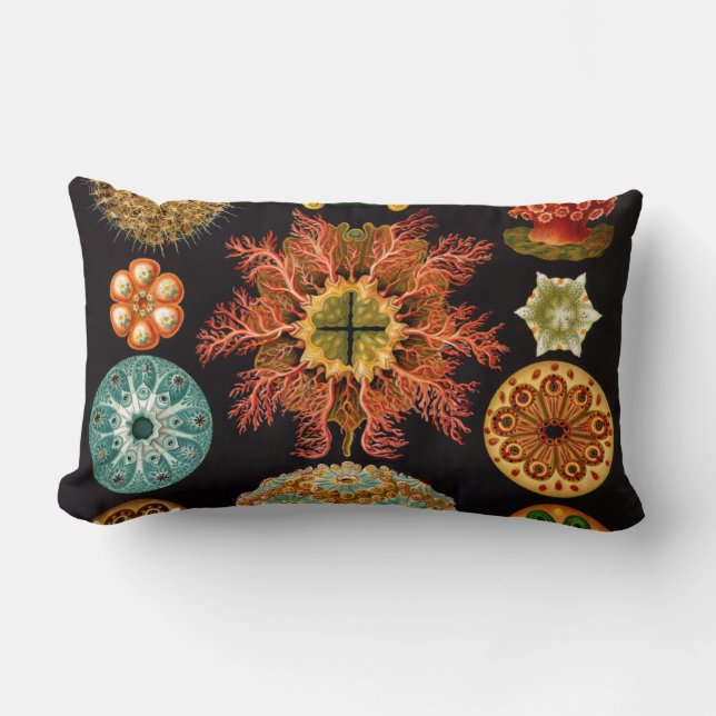 Rectangle Carré Lumbar Coussin Sea Squirt (Recto)