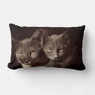 Rectangle Chats Photo Lumbar Coussin 33 cm x 53 cm