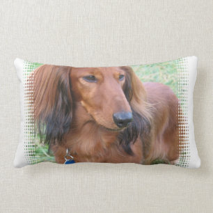 Rectangle Coussin à cheveux longs de teckel
