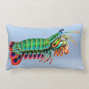 Rectangle Coussin animal de récif de crevette de mante de