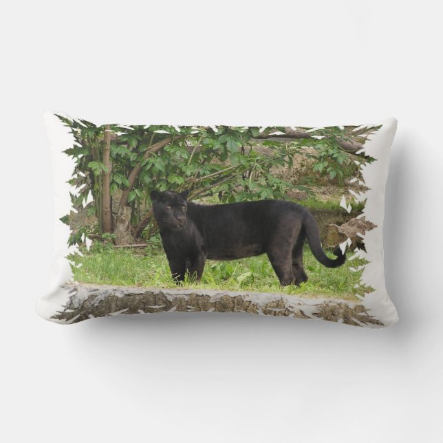 Rectangle Coussin arpentant de panthère (Recto)