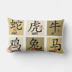 Rectangle Coussin chinois des signes géographiques