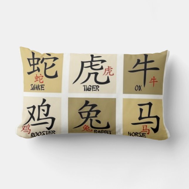 Rectangle Coussin chinois des signes géographiques (Recto)