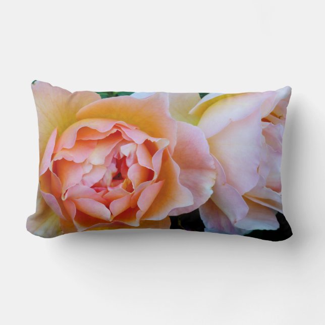 Rectangle Coussin - dahlias I (Recto)