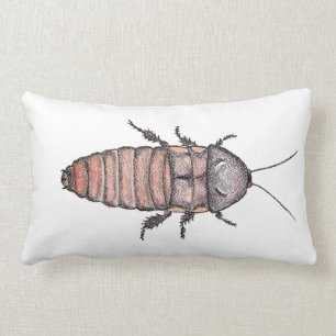 Rectangle Coussin de cafard
