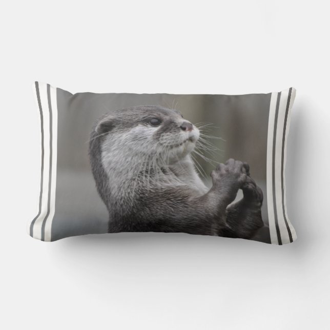 Rectangle Coussin de cerveau de loutre (Recto)