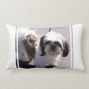 Rectangle Coussin de chiot de Tsu de Shih
