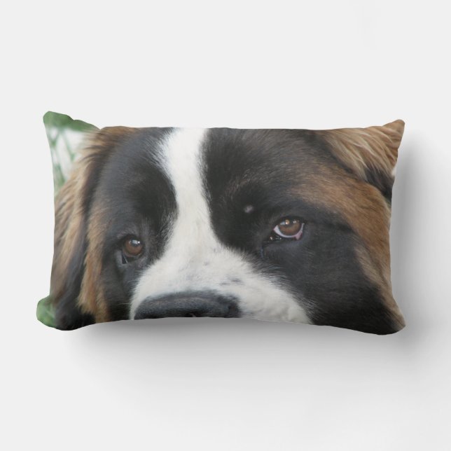 Rectangle Coussin de chiots de St Bernard (Recto)