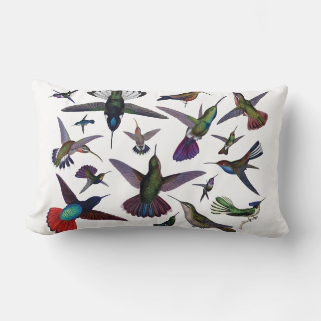 Rectangle Coussin de colibris (Recto)