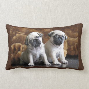 Rectangle Coussin de deux carlins