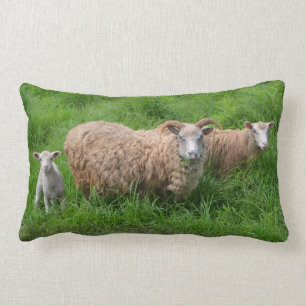 Rectangle Coussin de famille de moutons