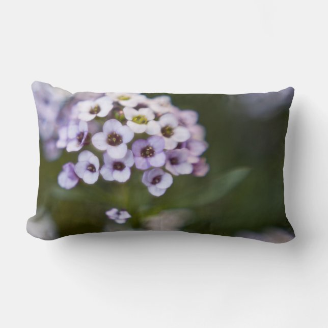 Rectangle Coussin de fleurs (Recto)